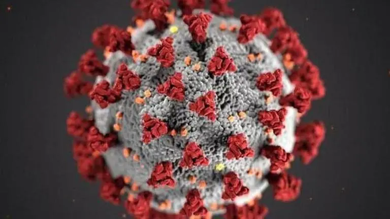 Coronavirus cases rise to 83 in India: Officials