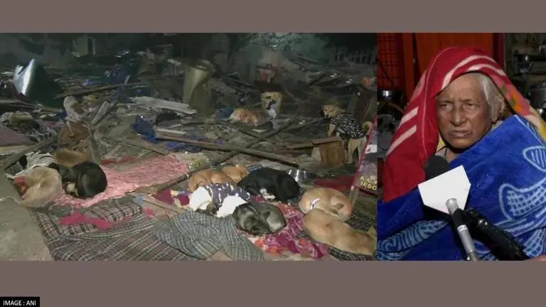 MCD workers raze shop of 80-year-old dog caretaker in Delhi's Saket Delhi