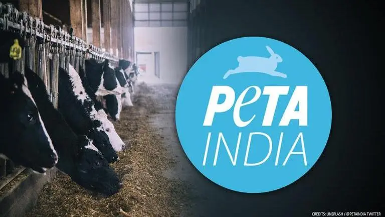 PETA India gets flak for 'beef & leather industries exists due to dairy industry' tweet PETA, dairy industry
