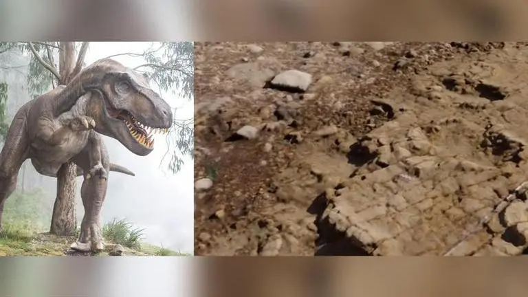 Dinosaur tracks discovered on Welsh beach date back to 200 million years ago: Report Dinosaur