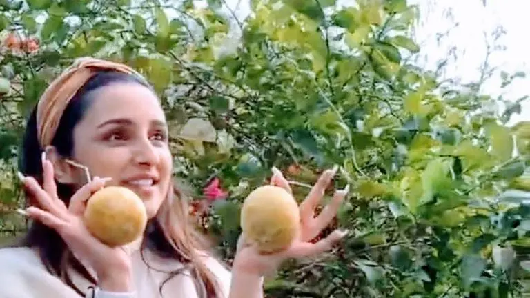 Watch: Parineeti Chopra plucks fresh lemons from her home farm in Ambala Parineeti Chopra