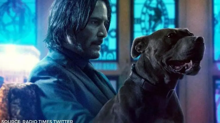 Where Was 'John Wick' Filmed? Locations that featured in this neo-noir film where was john wick filmed