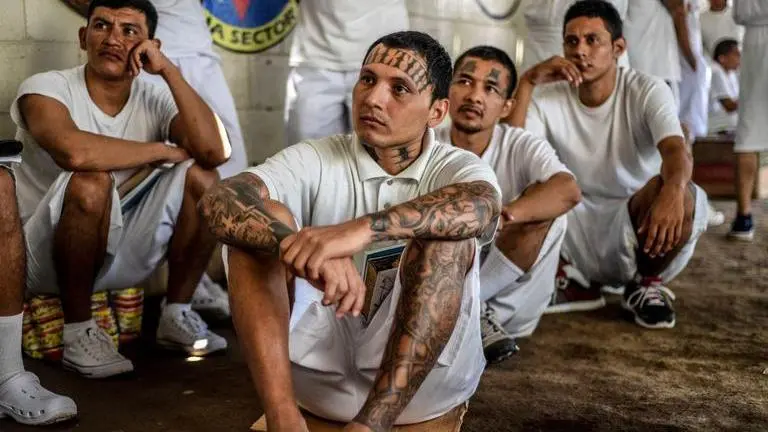 El Salvador: Hundreds of handcuffed gang members paraded on streets El Salvador: Gang members paraded in front of media reporters