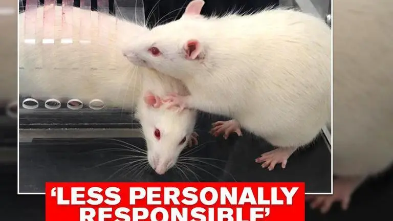 Scientists connect police brutality with bystander effect via experiment Scientists