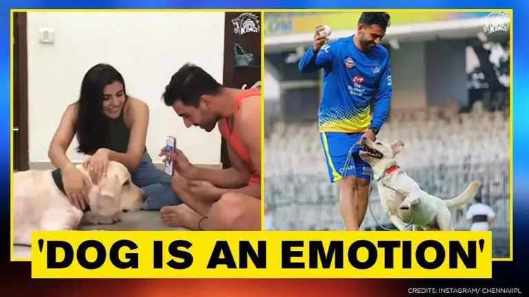 International Dog Day: Chennai Super Kings share cute video of Chahar's chats with Denzo International Dog Day