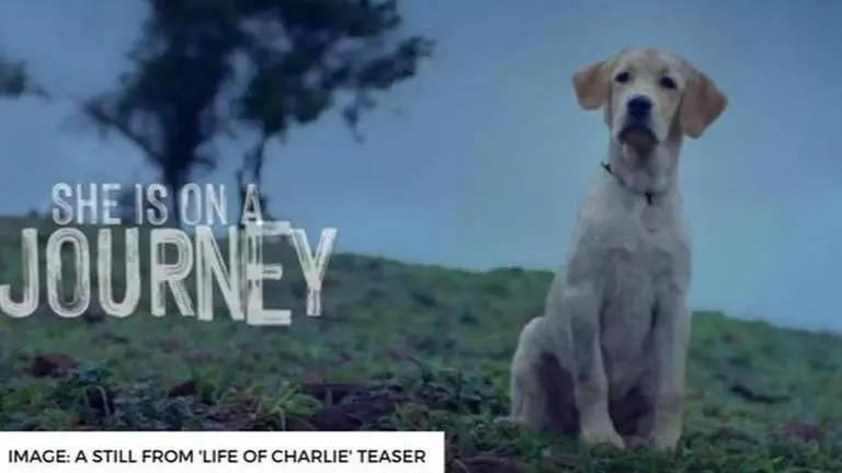 When is '777 Charlie' releasing? Find out all about the Rakshit Shetty film 777 Charlie ott release date