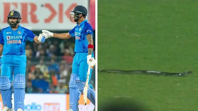 Snake invades field, brings India vs South Africa T20I in Guwahati to bizarre halt | WATCH India vs South Africa, Snake, India vs South Africa snake, snake in india vs south africa match, snake invades cricket ground, IND vs SA, Rohit Sharma