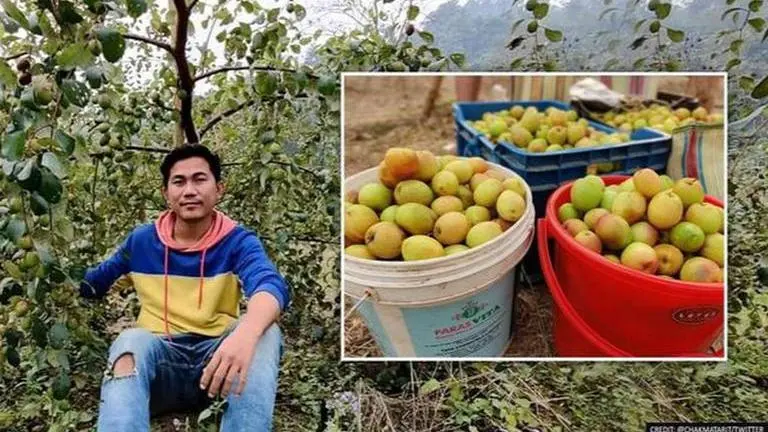 'Ber apple' cultivation in Tripura: Meet Bikramjit Chakma who is earning CM Deb's praise Tripura