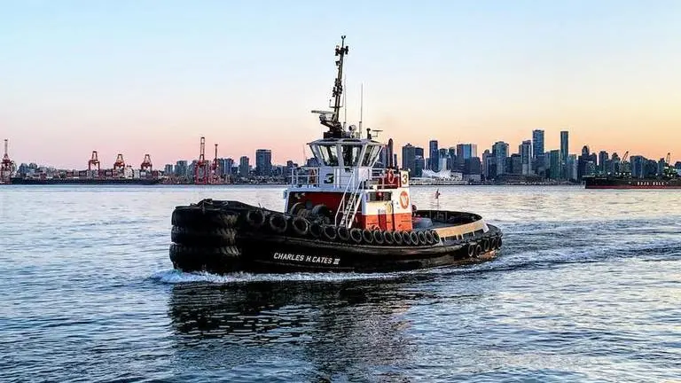 Tugboat sinks in Suez Canal after colliding with Hong Kong-flagged tanker