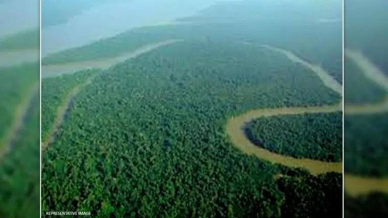 Brazil deploys armed forces to prevent deforestation in Amazon rainforest