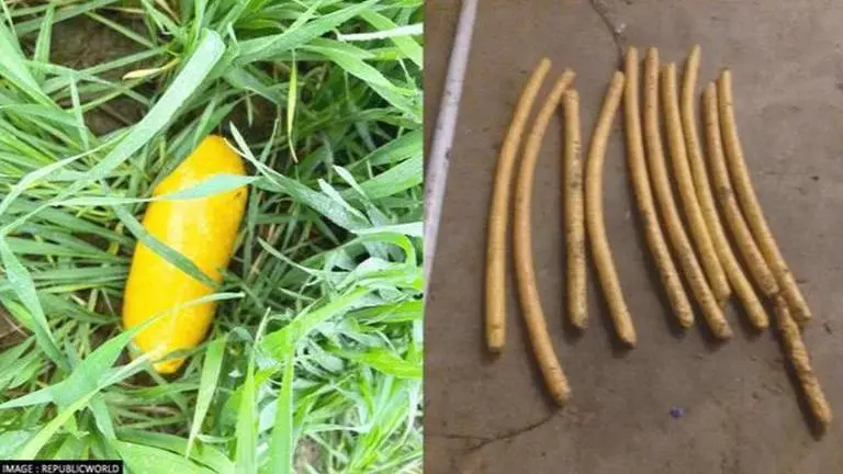 BSF foils major narco-terror bid in triple operations; recovers heroine worth over ₹100 Cr BSF