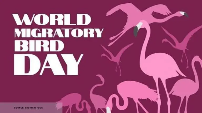 World migratory bird day 2020