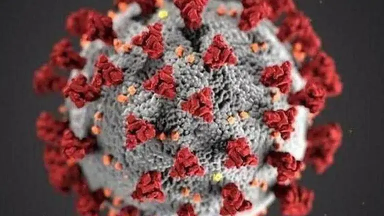 Coronavirus: Delhi minister reviews availability of masks, sanitizers, medicines