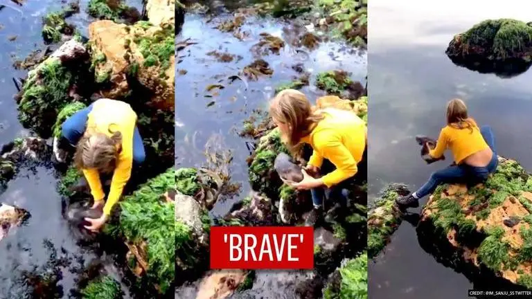 Australia: 11-year-old girl rescues shark trapped in rocks, netizens call her 'precious' Australia