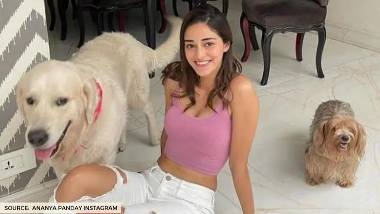 Ananya Panday's Instagram with Astro indicates 'someone has been naughtier this year' ananya panday