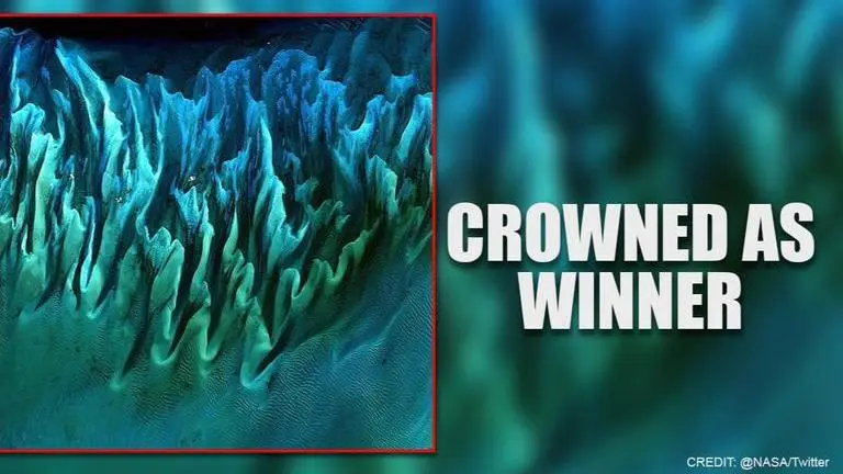 Ocean Sand, Bahamas wins the Tournament Earth 2020 organised by NASA NASA