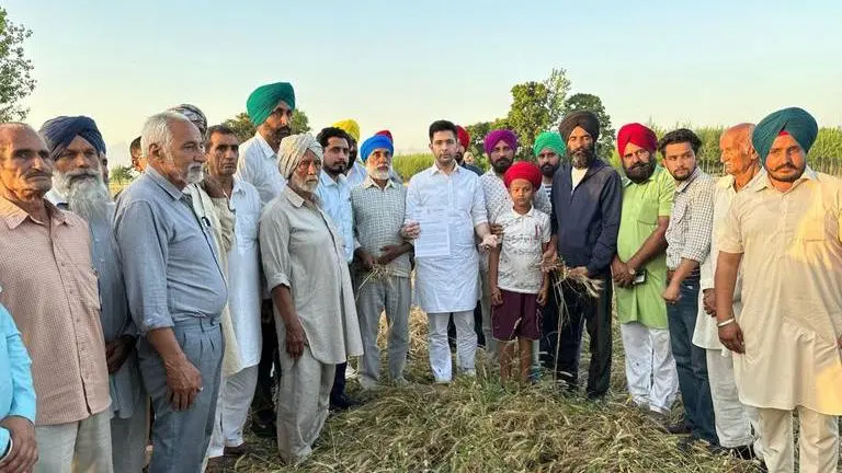 AAP MP Raghav Chadha seeks special package from Centre for weather-struck Punjab farmers Raghav Chadha