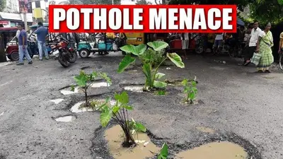 West Bengal: Citizens plant saplings in potholes, shame administration West bengal