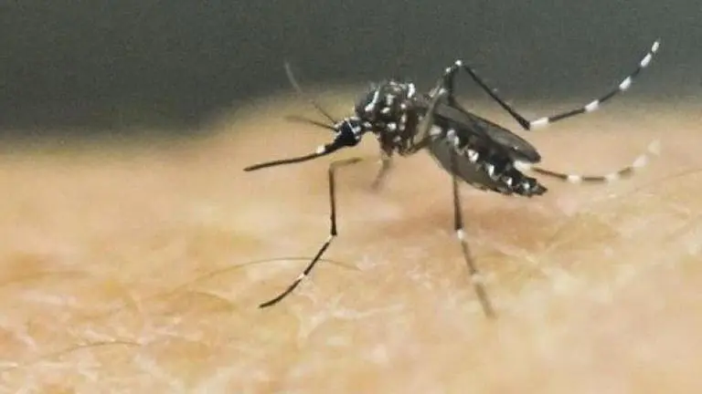 Spain reports first West Nile virus death in 2020; here's everything you need to know Spain