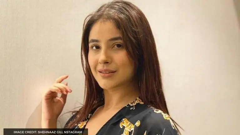 Shehnaaz Gill's latest stunning & cryptic post makes fans ask "why this caption?", see pic shehnaaz gill