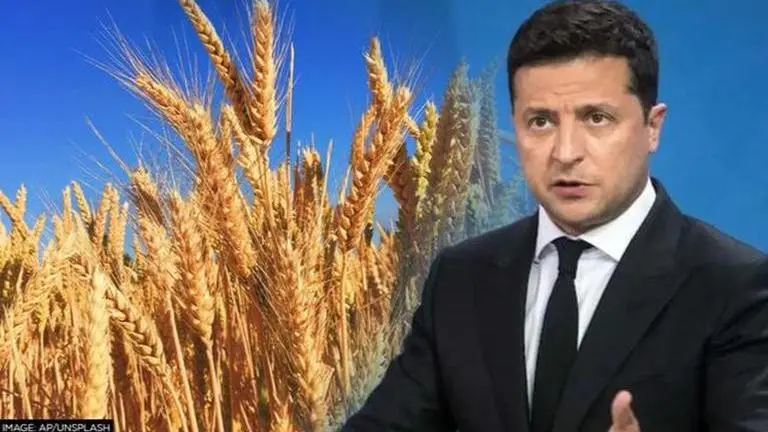 Ukraine preparing for additional grain storage facilities in case exports do not resume Ukraine