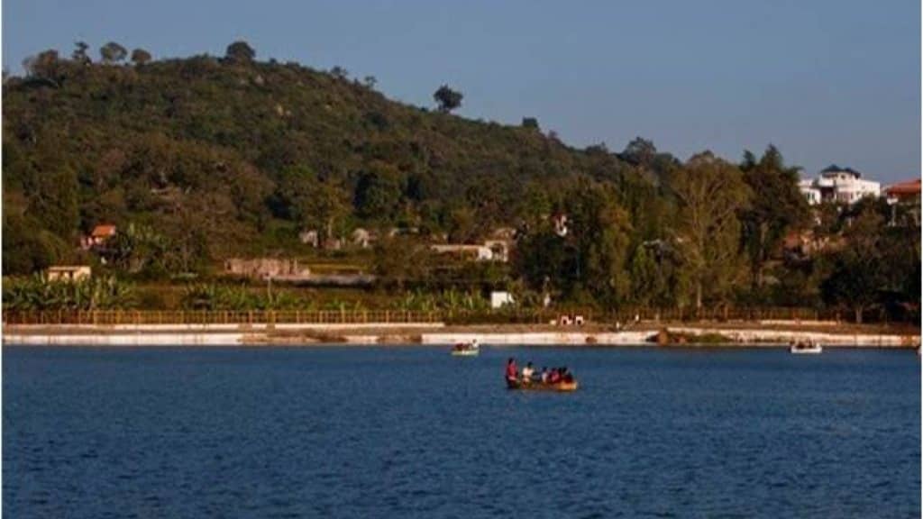 Description of the pic