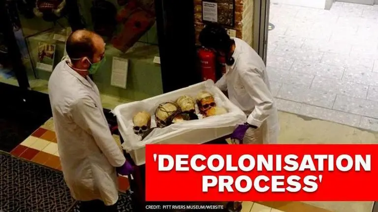 'Naga trophy heads' removed as British museum seeks to rectify colonial past Naga trophy heads