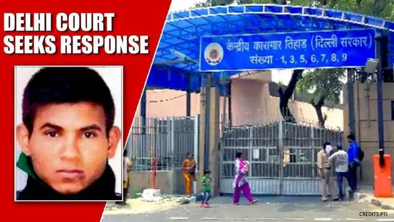 Delhi court seeks Tihar jail's reply on Nirbhaya convict's plea claiming 'schizophrenia' Nirbhaya