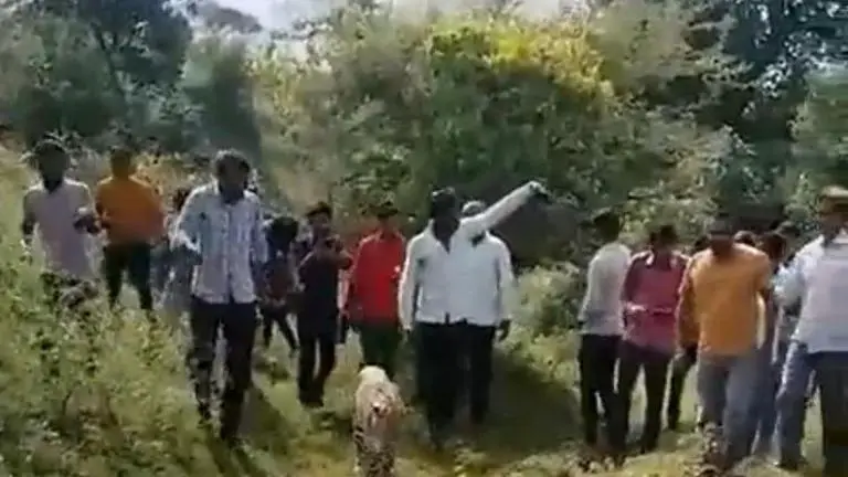 Leopard with neurological disorder forgets identity, villagers ridicule wild animal Madhya Pradesh