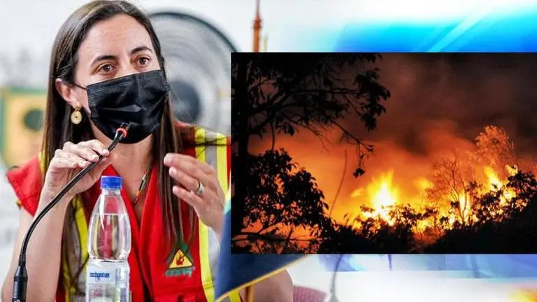Chile govt declares emergency as forest fires rage in central & southern parts of country Chile