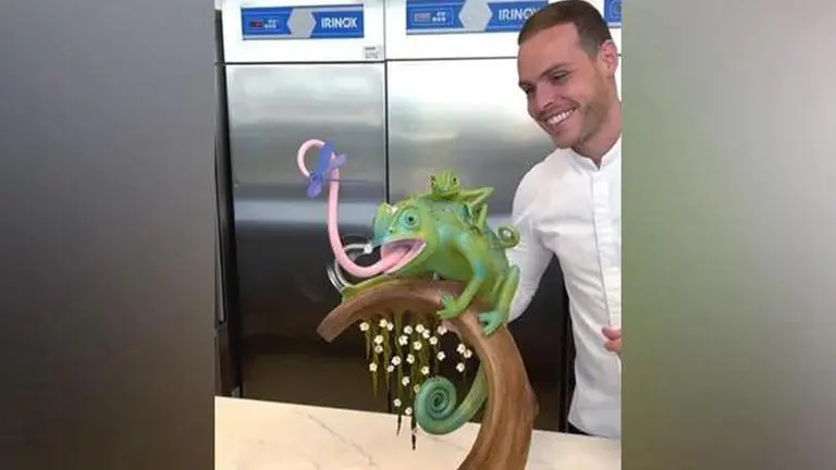 Watch: Chef makes chocolate chameleon; netizens call him 'chocolate specialist doctor' Chef