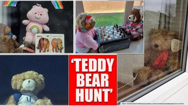 Good News: Washington joins ‘bear hunt’ game to keep kids entertained amid lockdown Good News: Global teddy bear hunt gains popularity in DC kids and parents