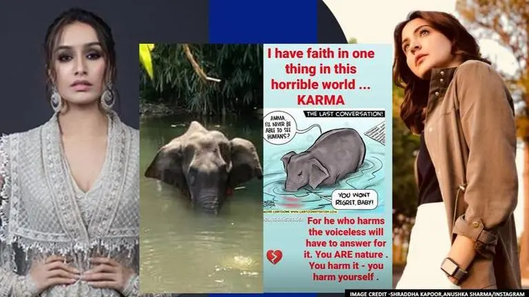 Pregnant elephant's death: Anushka Sharma has faith in 'Karma'; Shraddha shares petition Anushka Sharma