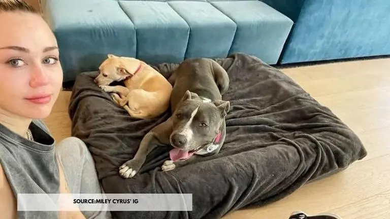Miley Cyrus introduces her new dog 'Angel' in an emotional post, talks about Mary Jane miley cyrus