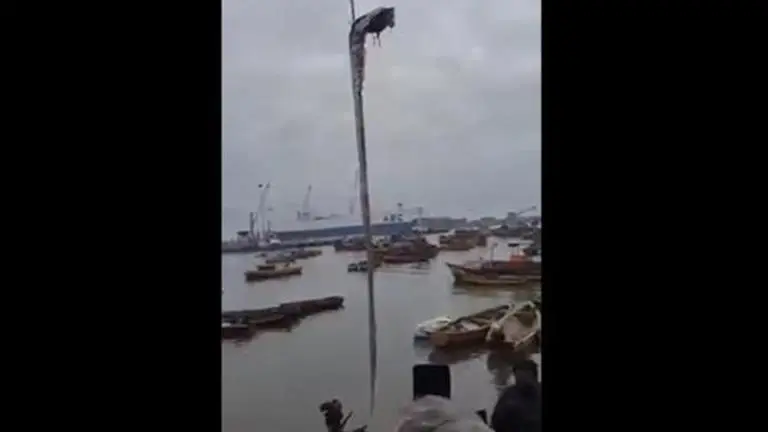 16-foot-long oarfish caught in Chile; locals term it as 'bad omen' for earthquakes Chile