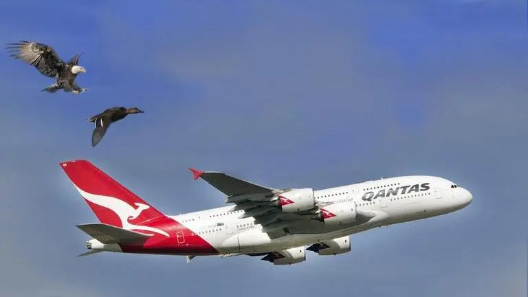 Bengaluru-bound Nepal Airlines flight returns to Kathmandu after suspected bird strike