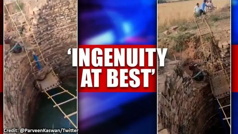 Madhya Pradesh: Leopard rescued using innovative technique, watch Madhya Pradesh leopard rescued using innovative technique, watch video