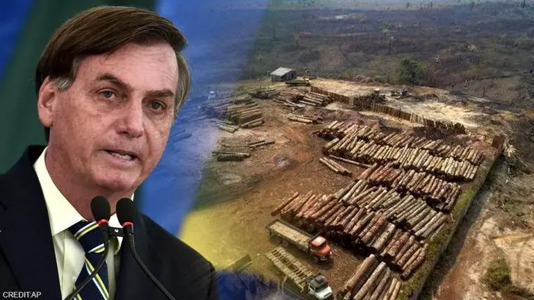 Brazil: Reassigning deforestation data official raises question of political interference Brazil
