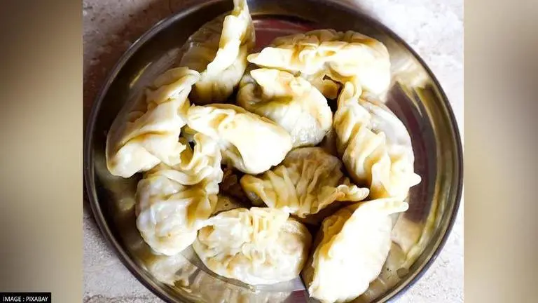 Delhi: Man dies after choking on a momo; AIIMS issues 'swallow with care' warning Aiims