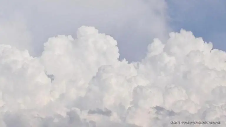 (Image Credits: Pixabay/Representative Image)