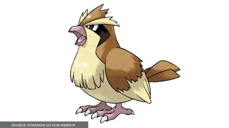 Pokemon Go Pidgey: Base Stat, Moveset and more about this Flying-type Pokemon pokemon go