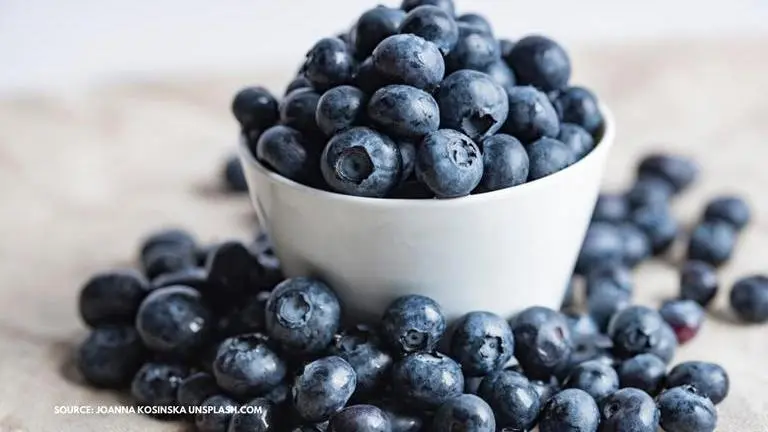 National Blueberry Day: History, celebration & everything about this delicious fruit national blueberry day history