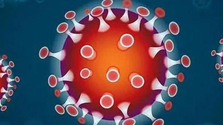 Odisha's COVID-19 tally jumps to 1,16,678 with over 3,200 fresh cases