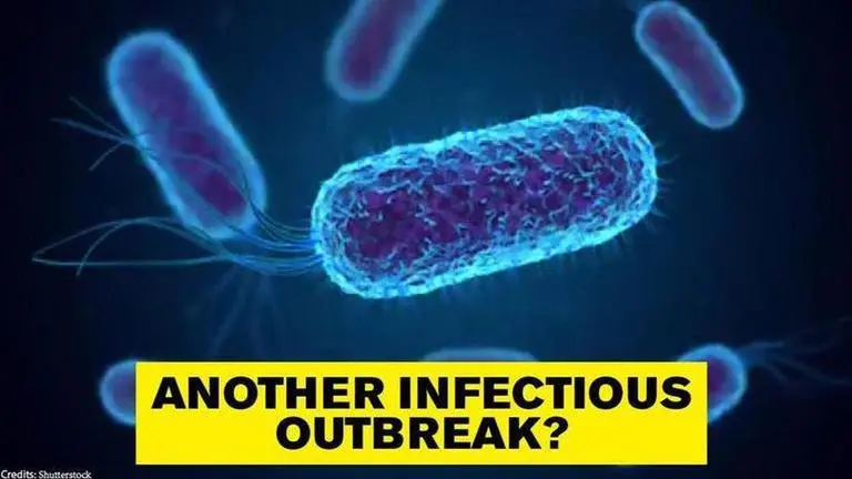 Brucellosis outbreak in China: Symptoms and transmission of deadly bacterial infection Brucellosis