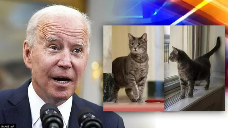 US: Joe & Jill Biden welcome first cat 'Willow' to WH since George W. Bush's presidency Joe Biden
