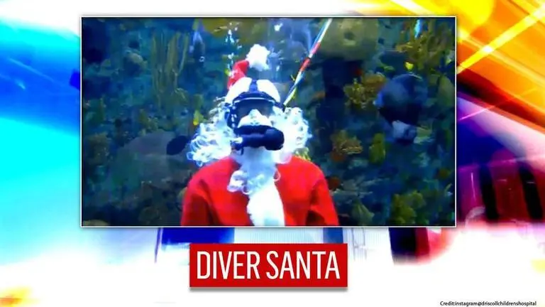 ‘Merry Marine Xmas’: Scuba Santa spreads Christmas joy at hospital from aquarium; watch Christmas