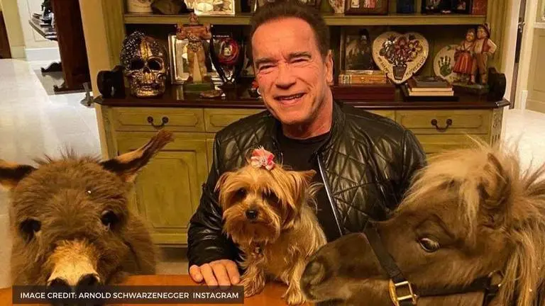 Arnold Schwarzenegger's net worth is so huge, he can even say 'hasta la vista' to working Arnold Schwarzenegger's net worth