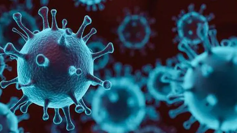 India's R-value further reduces, COVID-19 peak likely in next 14 days: IIT analysis