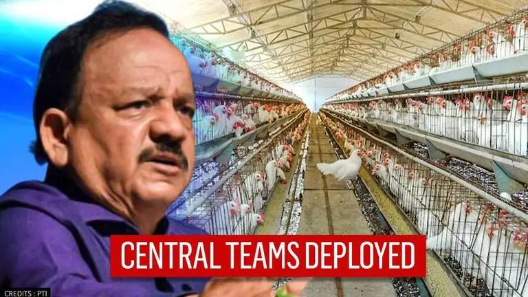 Bird Flu Outbreak: Health Ministry rushes multi-disciplinary teams to Kerala & Haryana Bird flu
