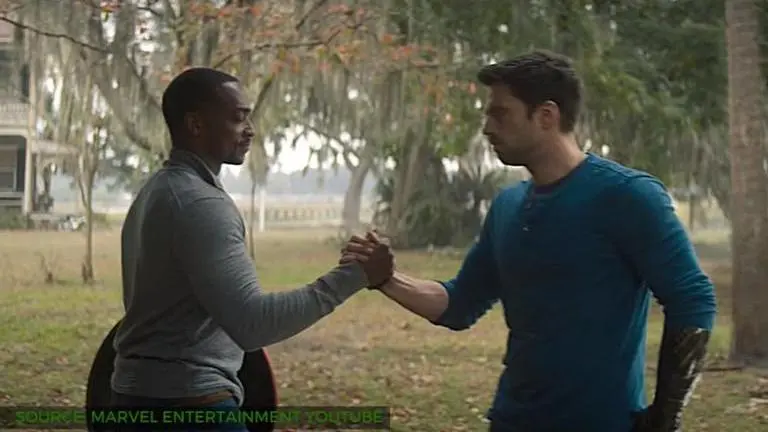 'The Falcon and The Winter Soldier' release on Disney Plus shifted to 2021? The Falcon and the Winter Soldier